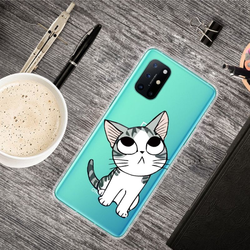 Skal OnePlus 8T Titta På Den Grå Katten