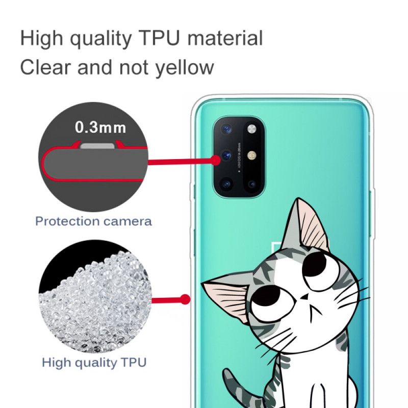 Skal OnePlus 8T Titta På Den Grå Katten